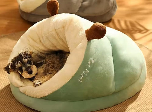 Must-Have Pet Accessories to Boost Your Pet’s Happiness, Health & Style in 2025